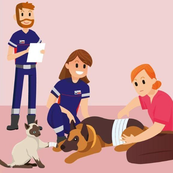 Filière animalière